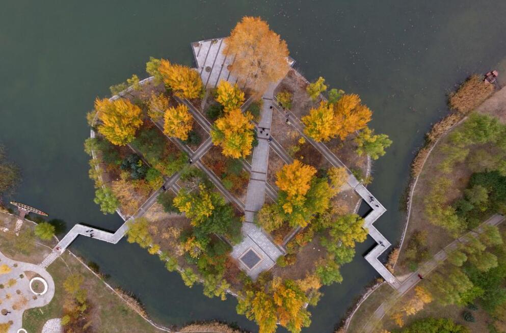 东北石油大学