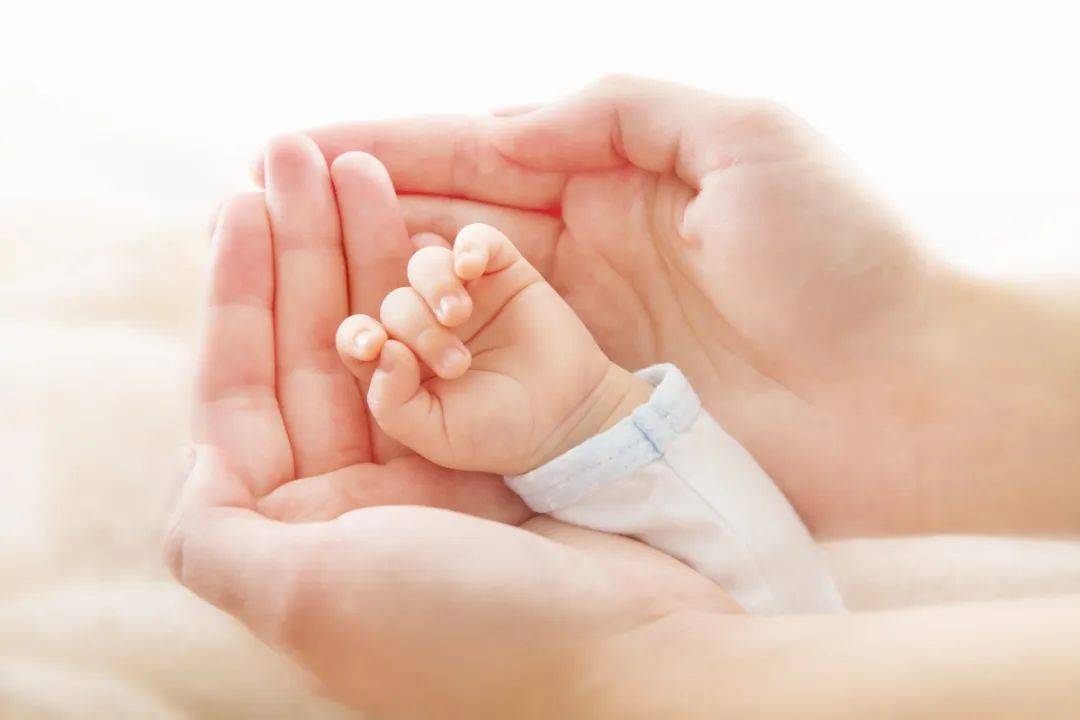 保育员和母婴护理有什么区别？