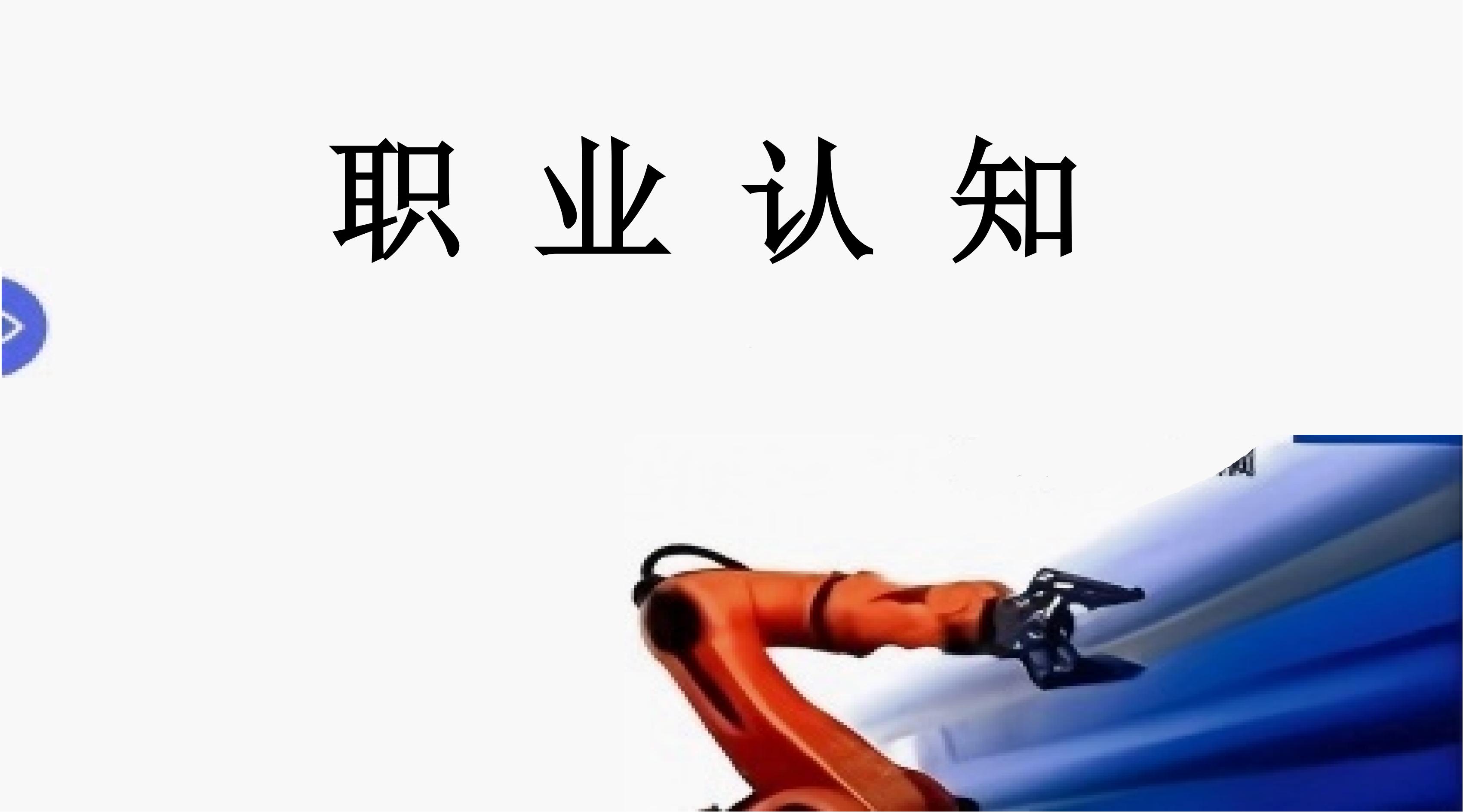 职业认知
