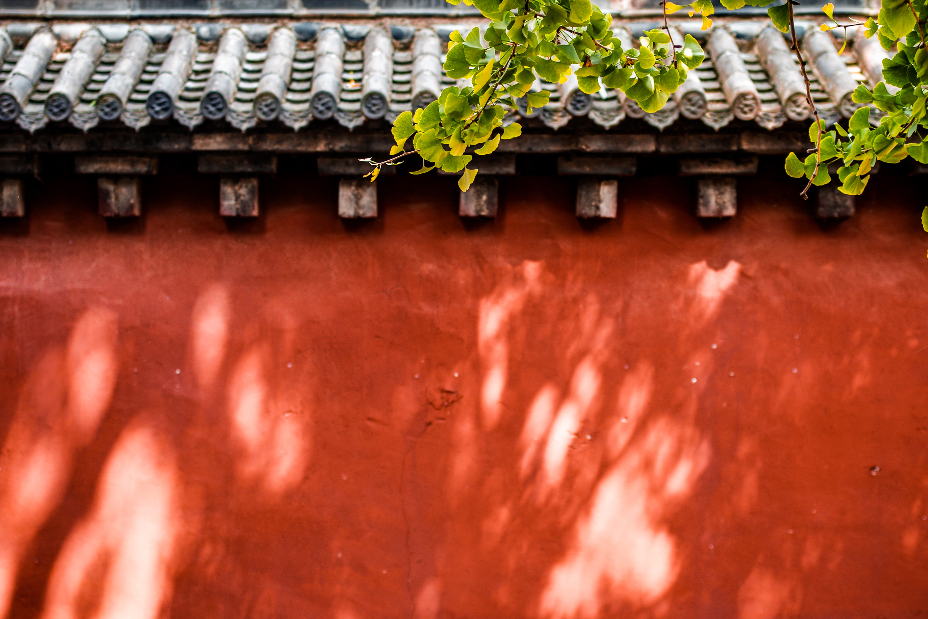 小教《科目一》主观题背诵汇总