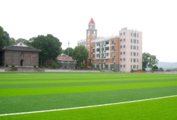 我院一项项目获重庆市教委2020年高校创新研究群体培育建设