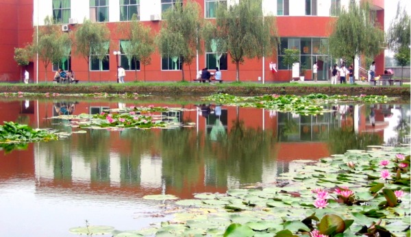 校园池塘