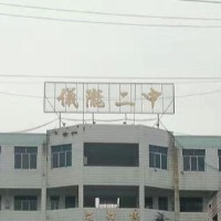仪陇县第二中学