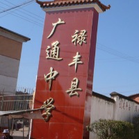 禄丰县广通中学