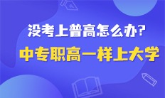 中专职高