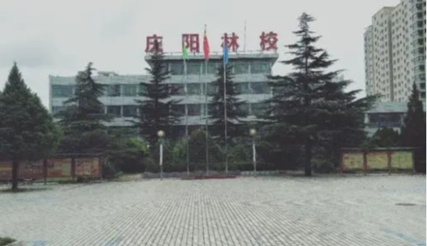 学校风景