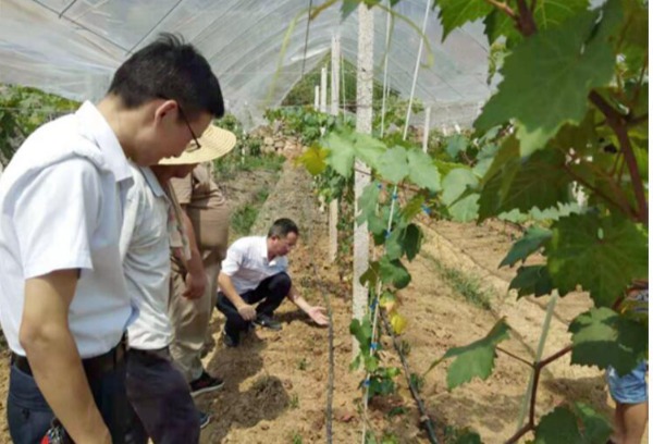 娄底职院专家团队赴石塘村开展农业技术服务活动