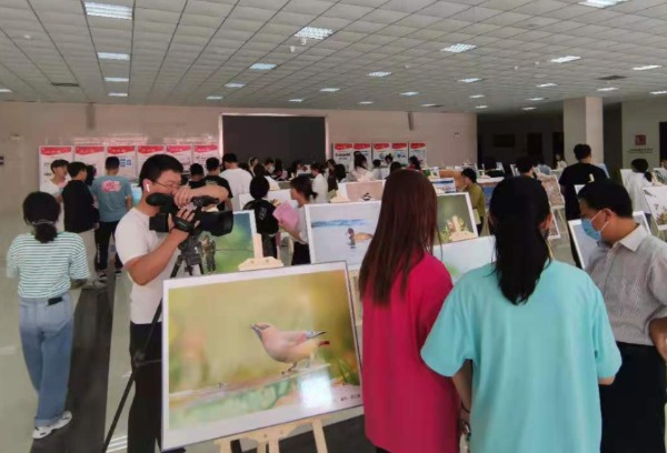 艺术与设计系举办“庆国庆 迎新生”鸟类生态摄影展