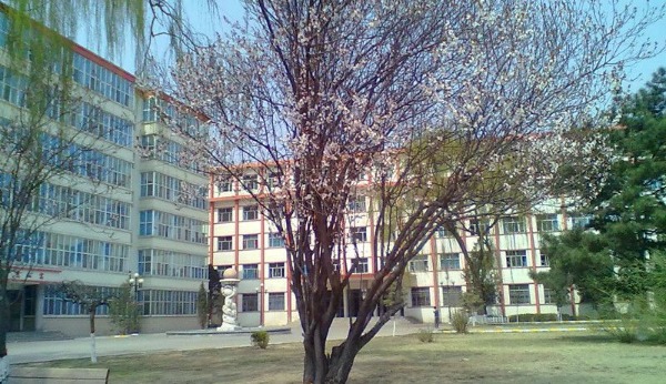 学校风景