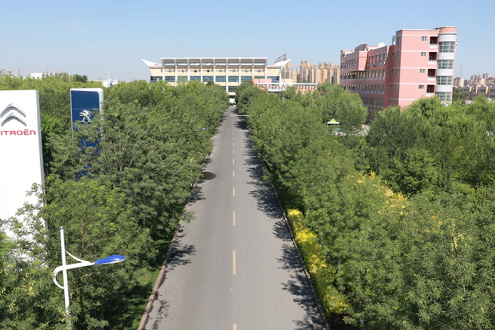 新疆交通学院校园风光图片