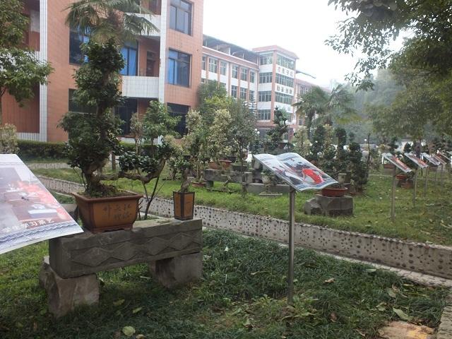 学校花园