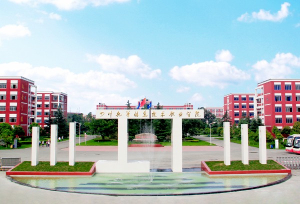 四川托普信息技术职业学院 2023年高职教育单独招生章程