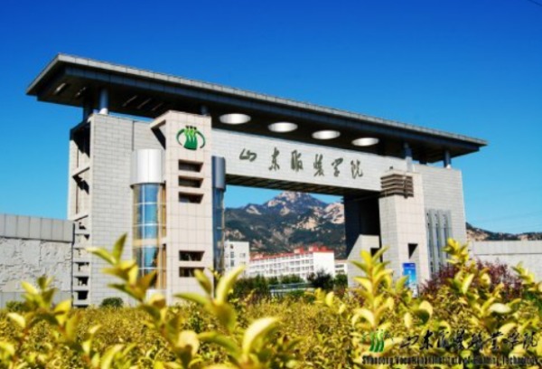 山东服装职业学院2023年单独招生和综合评价招生计划520人