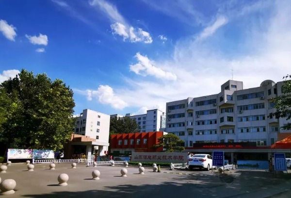 单独编班培养，山东信息职业技术学院单招、综评招生计划700人