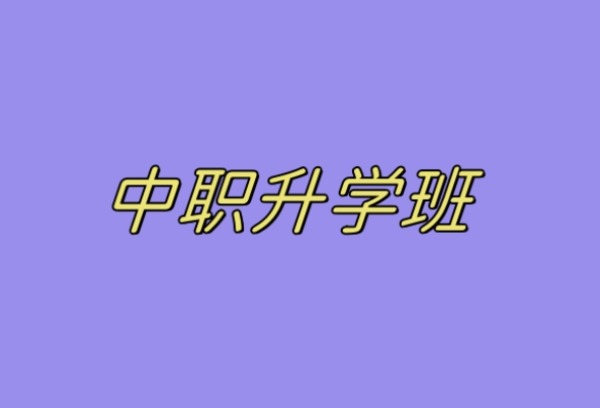 考不上高中可以选择中职学校的升学班吗？