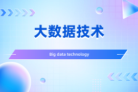 大数据技术