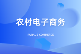农村电子商务