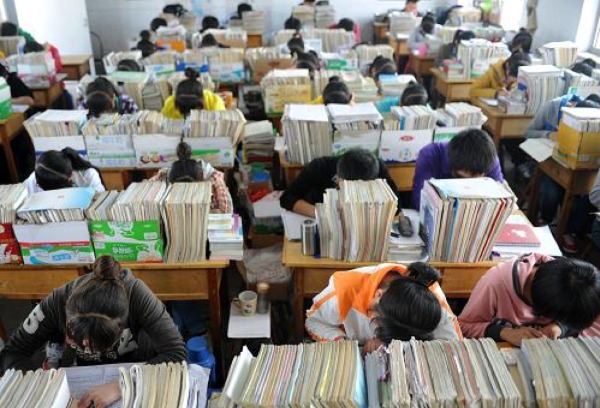 高校农村学生专项计划陆续公布，部分高校招生人数增多