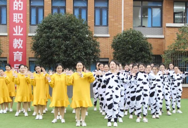 中专都有什么职业选择？