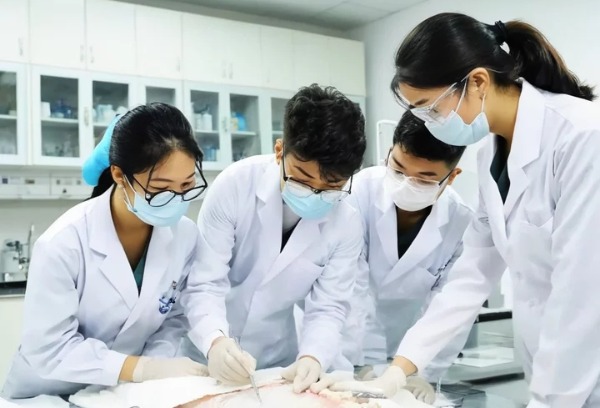 为什么不建议专科生学医？