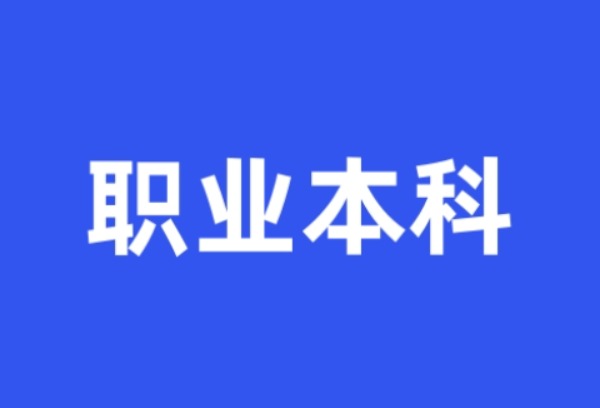 2024年职业本科有哪些学校？