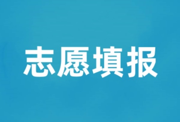 2024单招志愿如何填报？