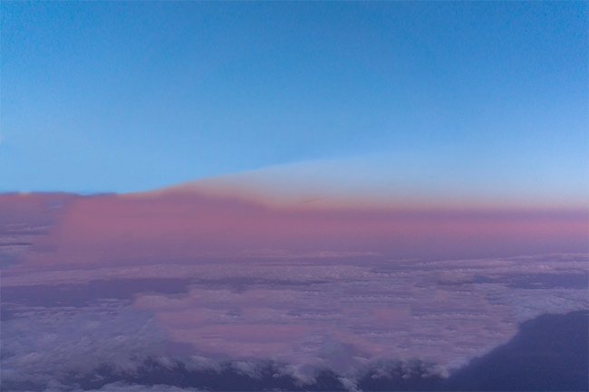 乌兹别克斯坦公布最新留学数据，有多少中国留学生？